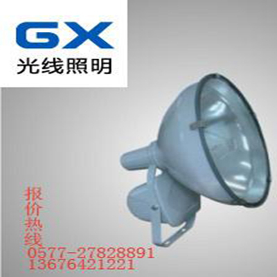 CNT9170景观投光灯 专业照明解决方案，点亮城市夜景